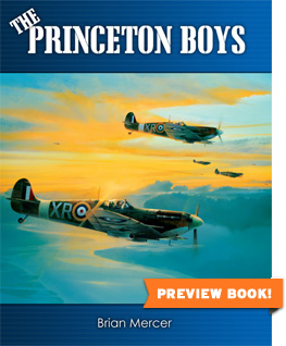 Princeton Boys by Brian Mercer
